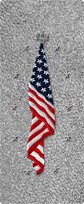 Flag at Rest Shimmer Silver